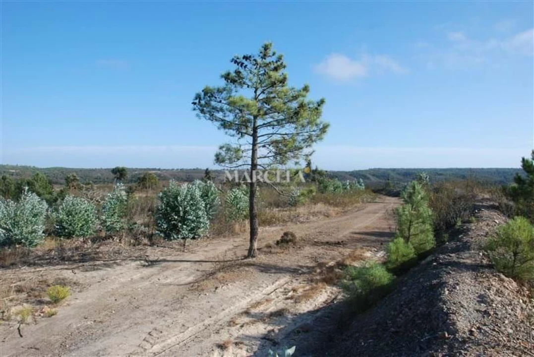 Terreno Agricola ou Rústico para Venda em Vila do Bispo e Raposeira Foto 1