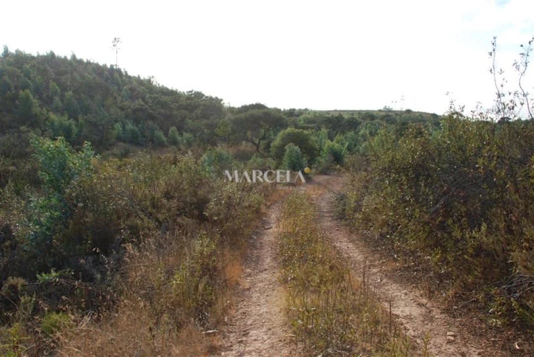 Terreno Agricola ou Rústico para Venda em Vila do Bispo e Raposeira Foto 14