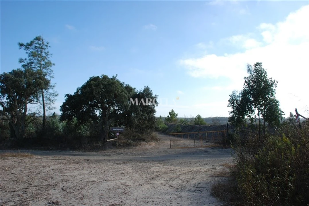 Terreno Agricola ou Rústico para Venda em Vila do Bispo e Raposeira Foto 9