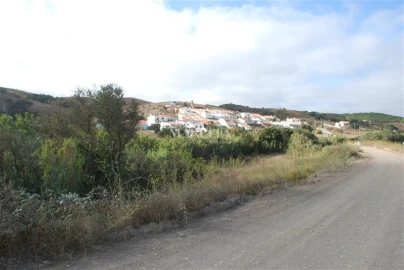 Terreno Agricola ou Rústico para Venda em Vila do Bispo e Raposeira