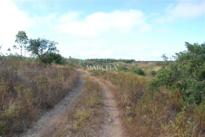 Terreno Agricola ou Rústico para Venda em Vila do Bispo e Raposeira