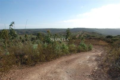 Terreno Agricola ou Rústico para Venda em Vila do Bispo e Raposeira