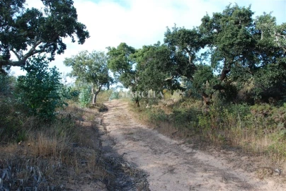 Terreno Agricola ou Rústico para Venda em Vila do Bispo e Raposeira