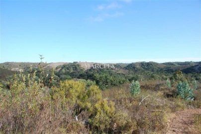 Terreno Agricola ou Rústico para Venda em Vila do Bispo e Raposeira