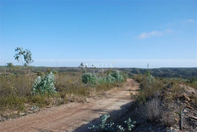 Terreno Agricola ou Rústico para Venda em Vila do Bispo e Raposeira