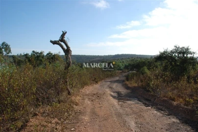 Terreno Agricola ou Rústico para Venda em Vila do Bispo e Raposeira