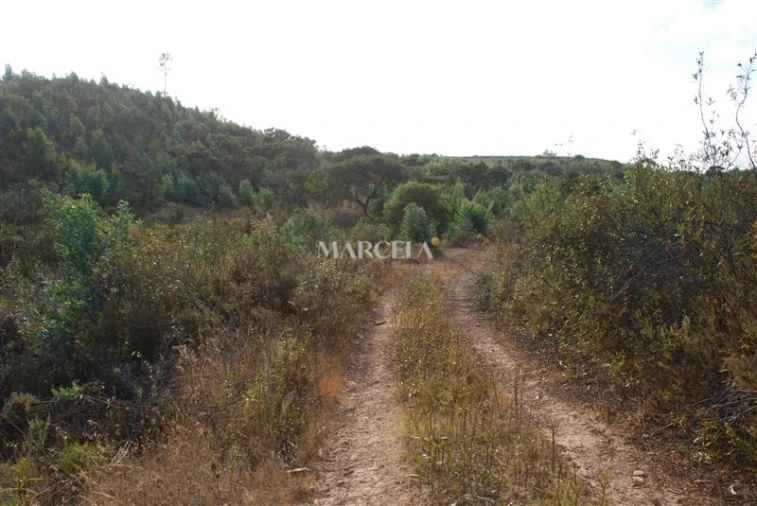 Terreno Agricola ou Rústico para Venda em Vila do Bispo e Raposeira Foto 14