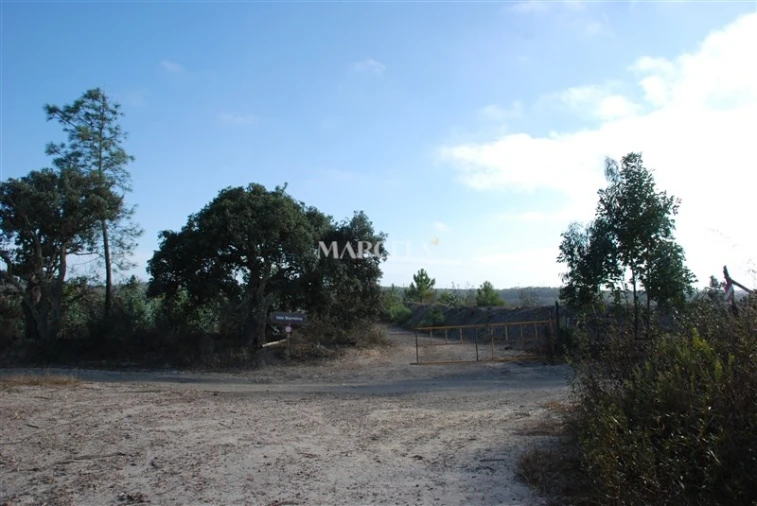 Terreno Agricola ou Rústico para Venda em Vila do Bispo e Raposeira Foto 9