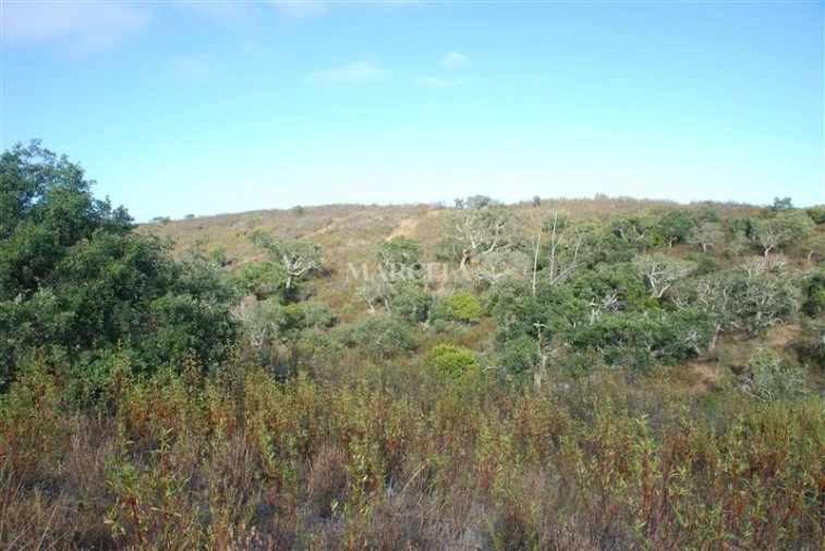 Terreno Agricola ou Rústico para Venda em Vila do Bispo e Raposeira Foto 16
