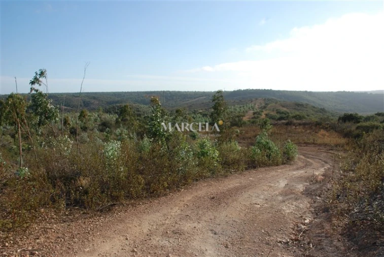 Terreno Agricola ou Rústico para Venda em Vila do Bispo e Raposeira Foto 6