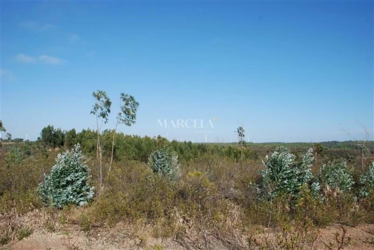 Terreno Agricola ou Rústico para Venda em Vila do Bispo e Raposeira Foto 5