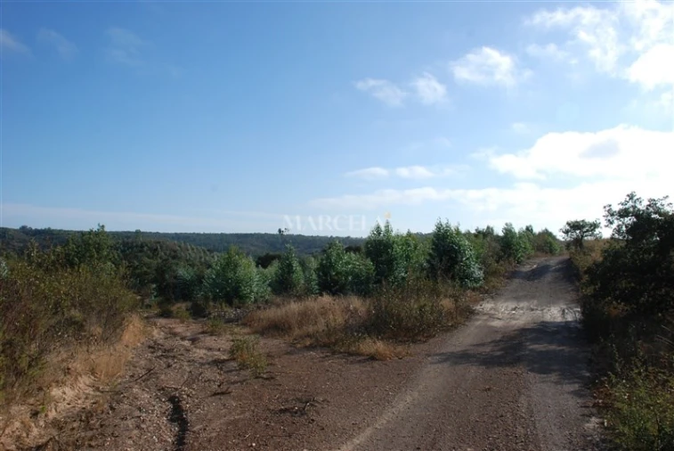 Terreno Agricola ou Rústico para Venda em Vila do Bispo e Raposeira Foto 10