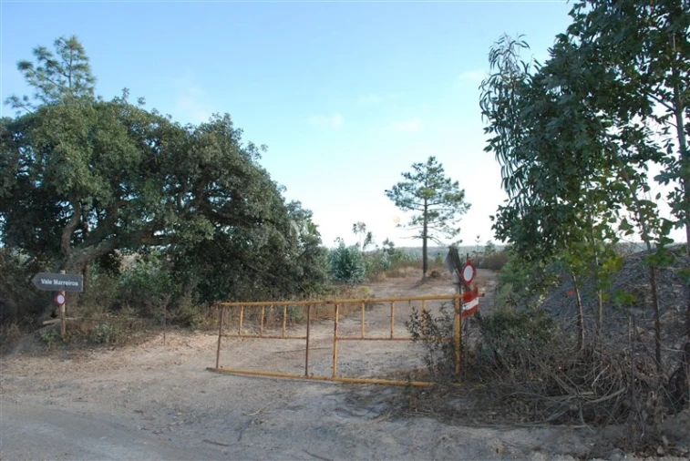 Terreno Agricola ou Rústico para Venda em Vila do Bispo e Raposeira Foto 4