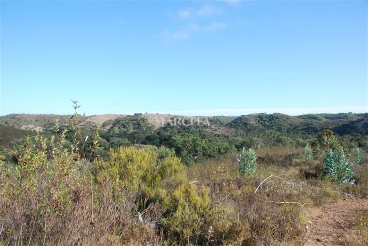 Terreno Agricola ou Rústico para Venda em Vila do Bispo e Raposeira Foto 15