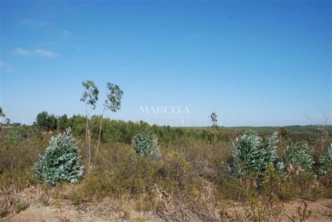 Terreno Agricola ou Rústico para Venda em Vila do Bispo e Raposeira Foto 5