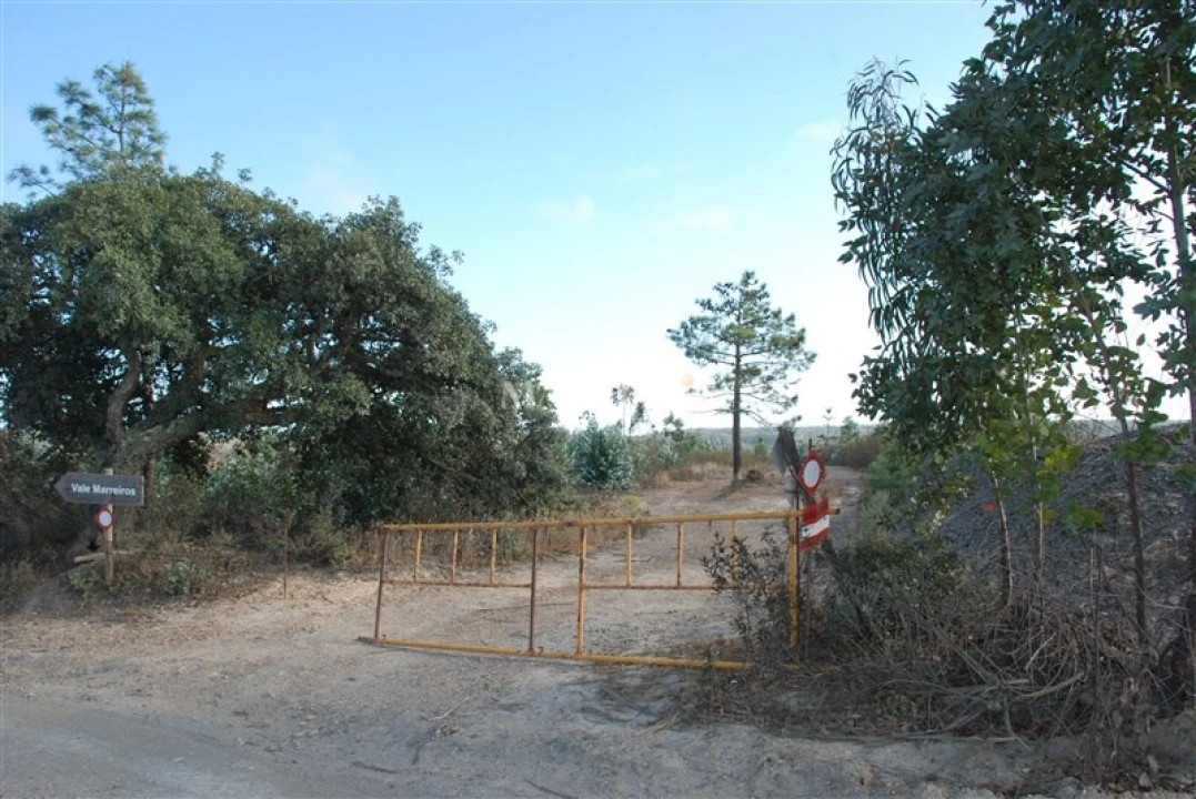 Terreno Agricola ou Rústico para Venda em Vila do Bispo e Raposeira Foto 4
