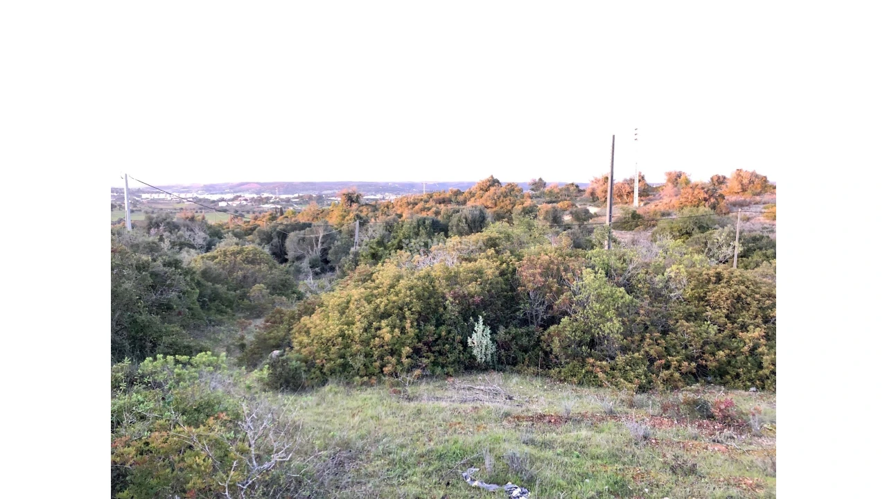 Terreno Agricola ou Rústico para Venda em Lagos (São Sebastião e Santa Maria) Foto 1