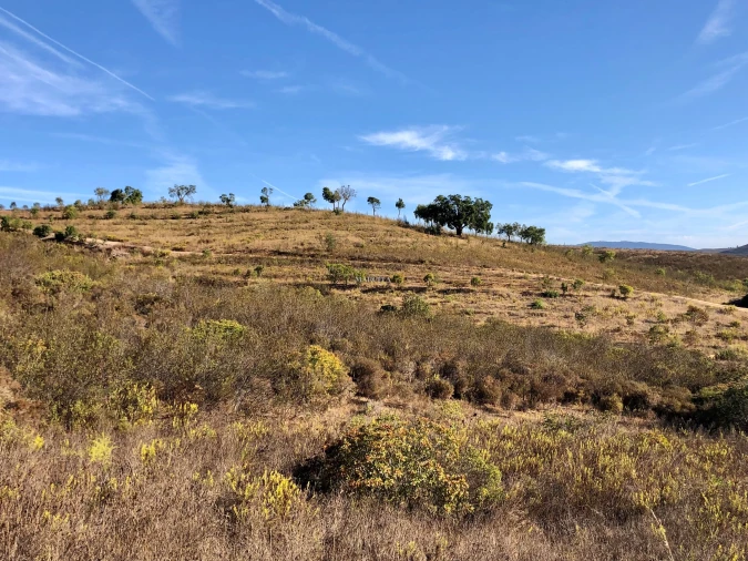 Terreno para Venda em Lagos (São Sebastião e Santa Maria) Foto 5