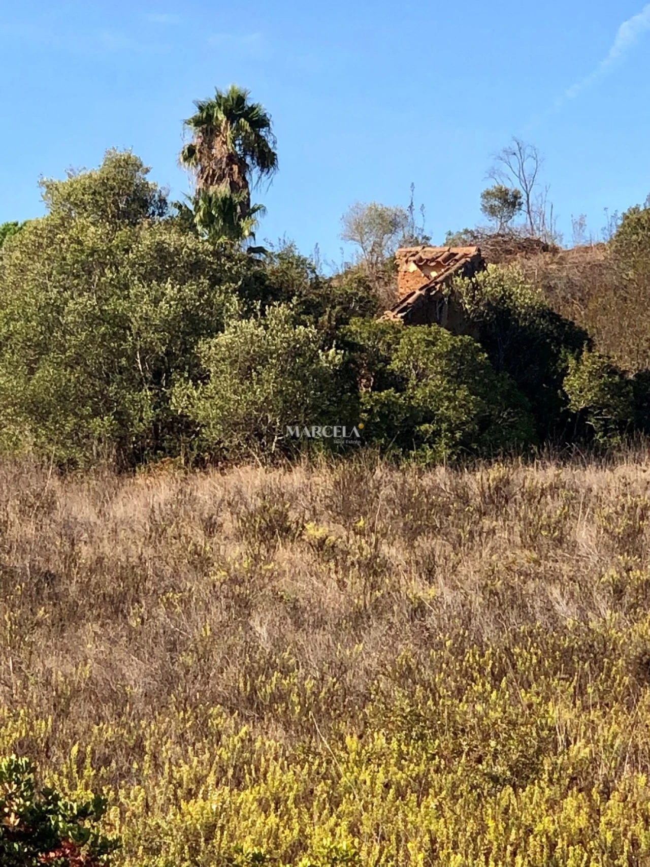Terreno para Venda em Lagos (São Sebastião e Santa Maria) Foto 3