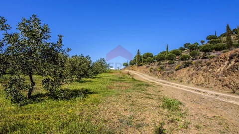 Terreno para Venda em Odeleite