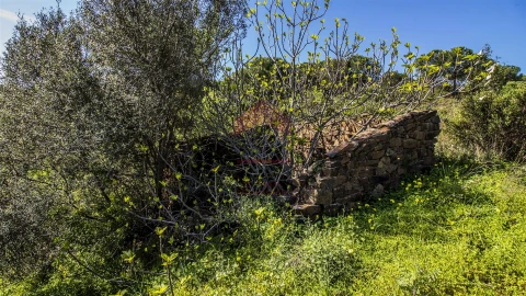 Terreno para Venda em Odeleite