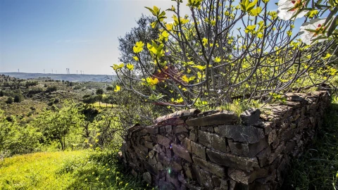 Terreno para Venda em Odeleite