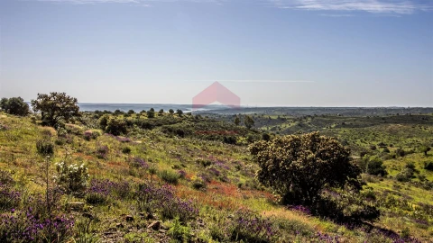 Terreno para Venda em Odeleite