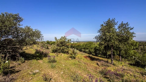 Terreno para Venda em Odeleite