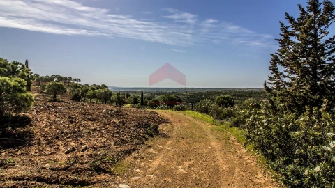 Terreno para Venda em Odeleite