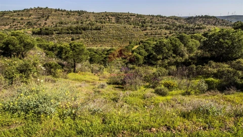 Terreno para Venda em Odeleite