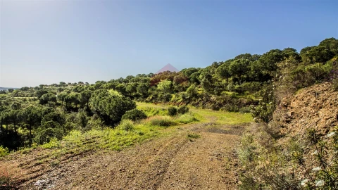 Terreno para Venda em Odeleite