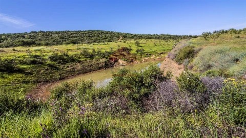 Terreno para Venda em Odeleite