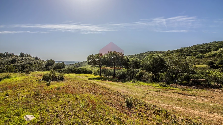 Terreno para Venda em Odeleite Foto 10