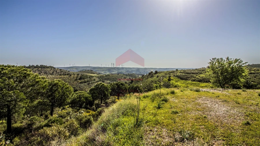 Terreno para Venda em Odeleite Foto 5