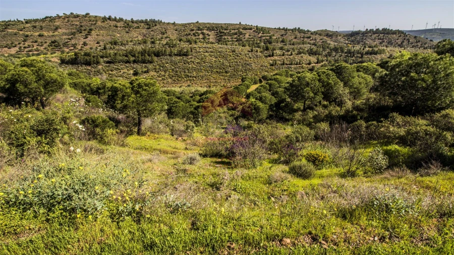 Terreno para Venda em Odeleite Foto 7