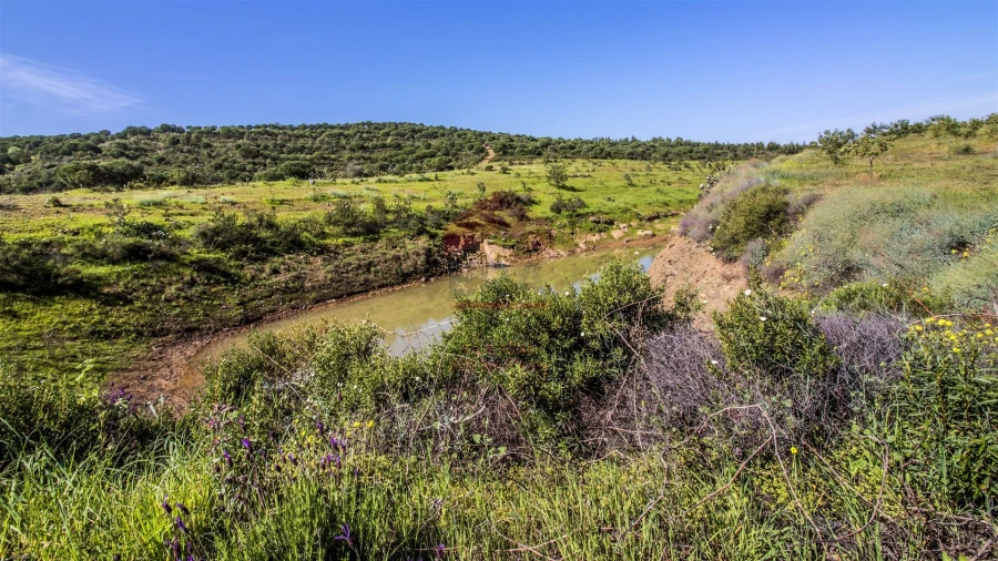 Terreno para Venda em Odeleite Foto 11