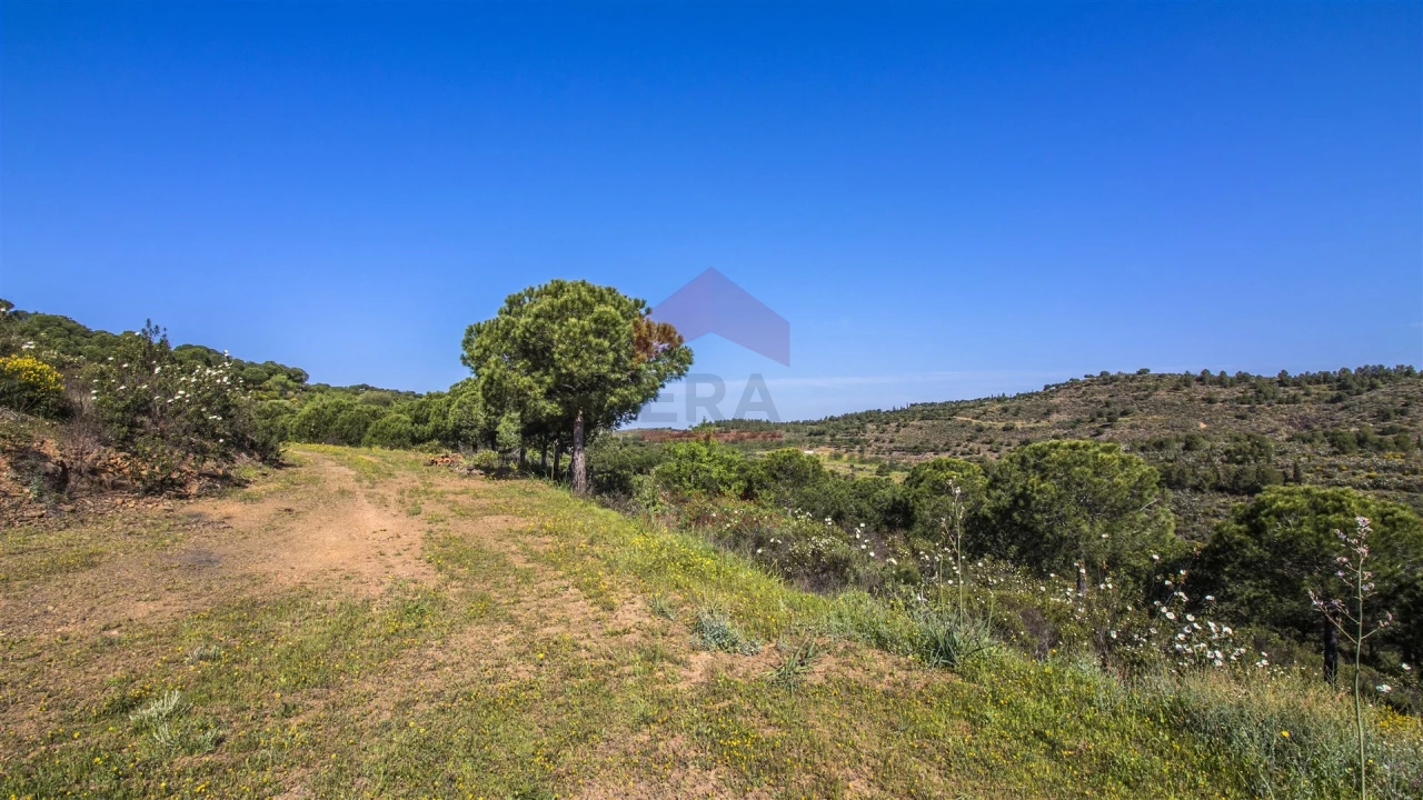 Terreno para Venda em Odeleite Foto 6