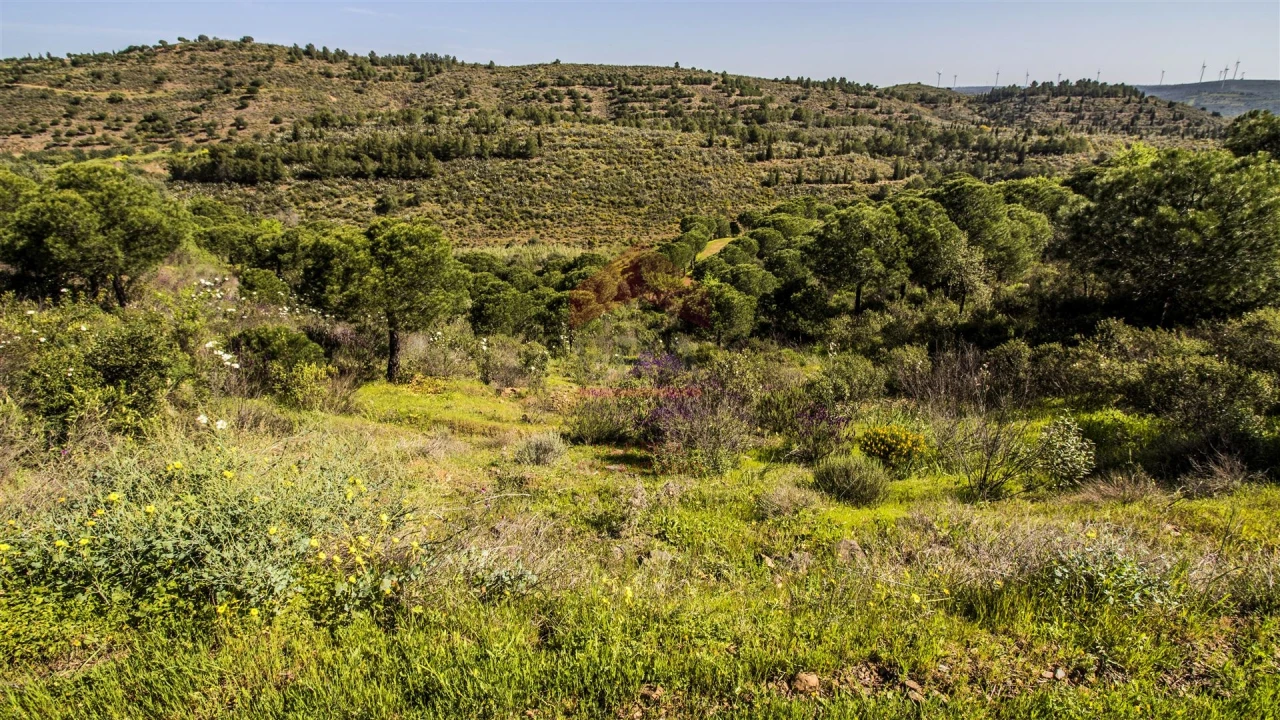 Terreno para Venda em Odeleite Foto 7