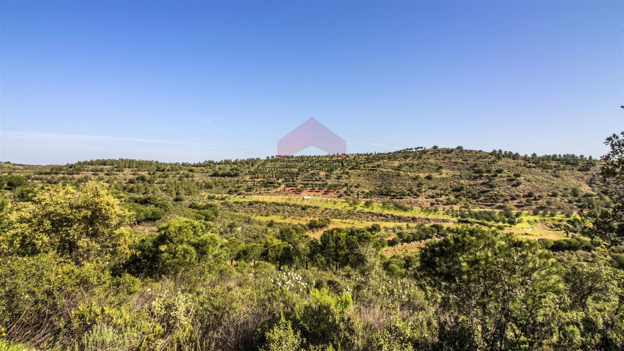 Terreno para Venda em Odeleite Foto 3