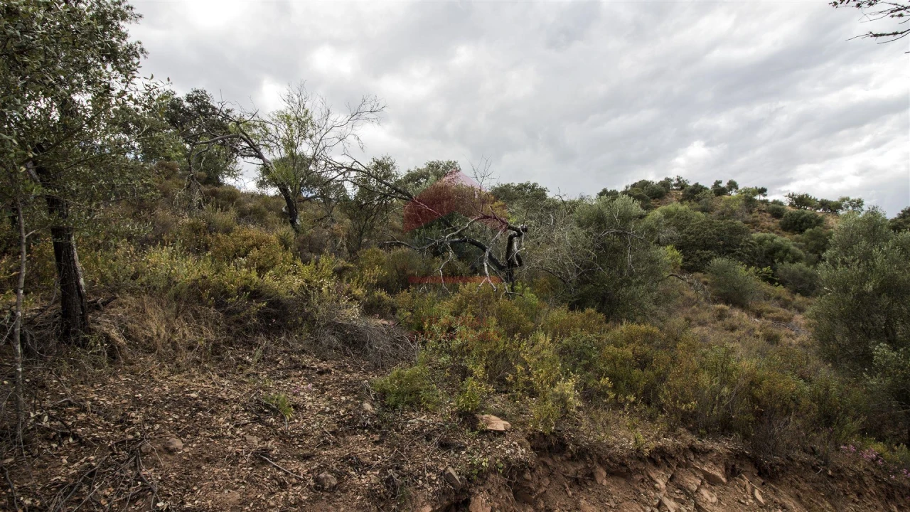 Terreno Agricola ou Rústico para Venda em Alcoutim e Pereiro Foto 4