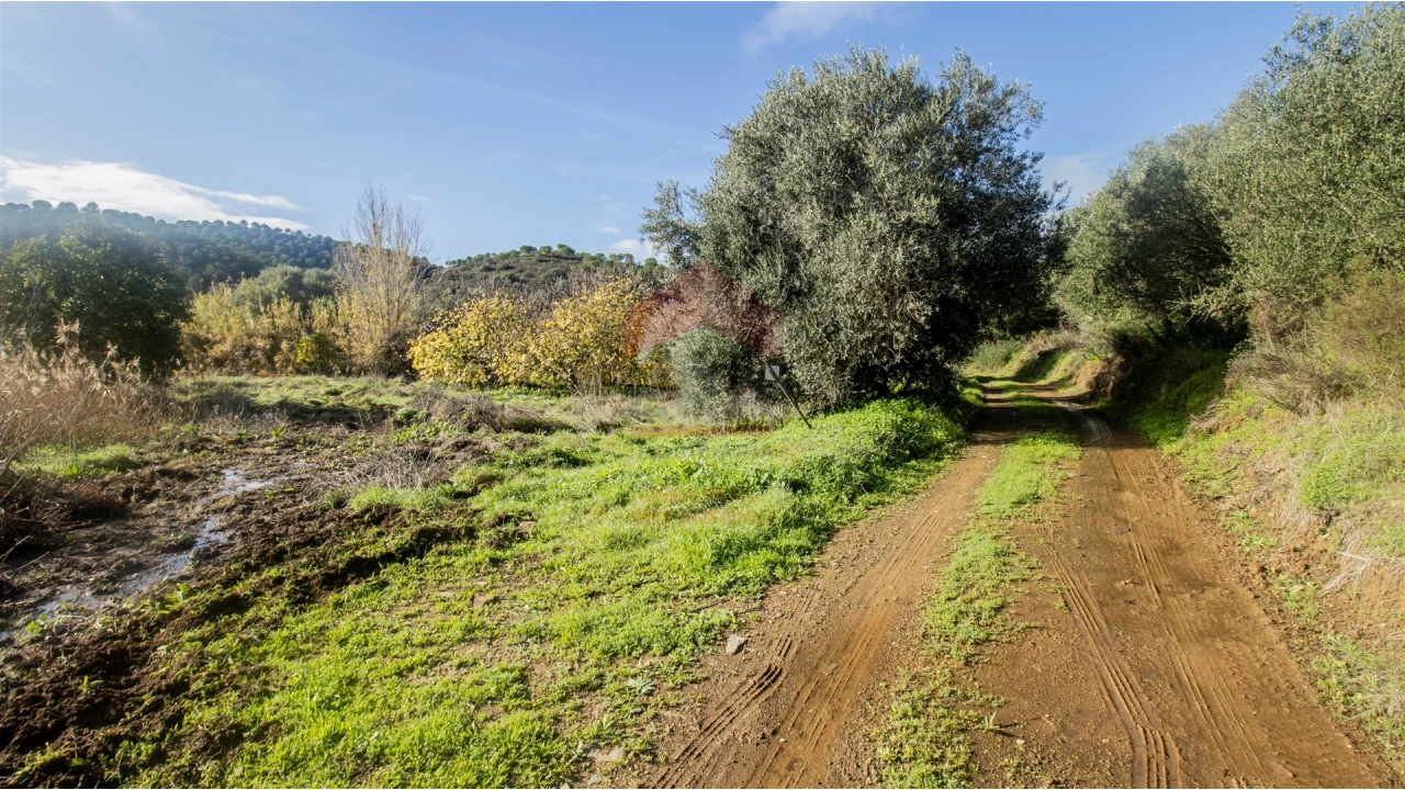 Terreno Agricola ou Rústico para Venda em Alcoutim e Pereiro Foto 3