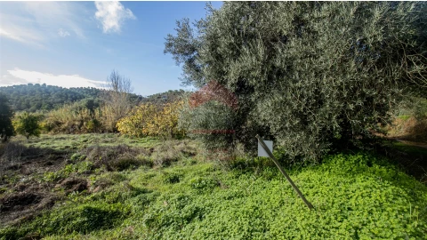 Terreno Agricola ou Rústico para Venda em Alcoutim e Pereiro