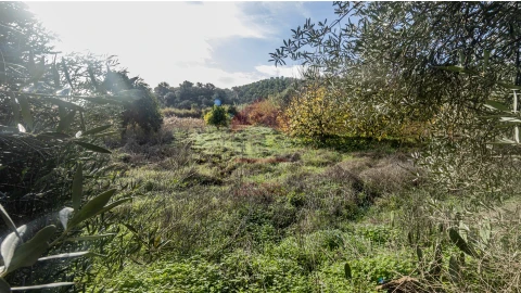 Terreno Agricola ou Rústico para Venda em Alcoutim e Pereiro