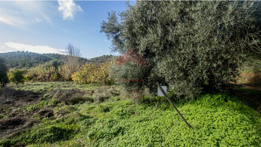 Terreno Agricola ou Rústico para Venda em Alcoutim e Pereiro Foto 2