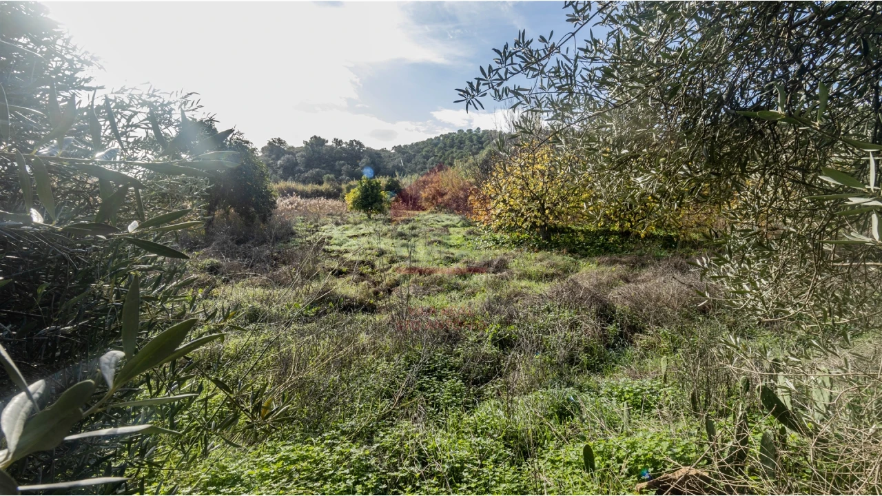 Terreno Agricola ou Rústico para Venda em Alcoutim e Pereiro Foto 5