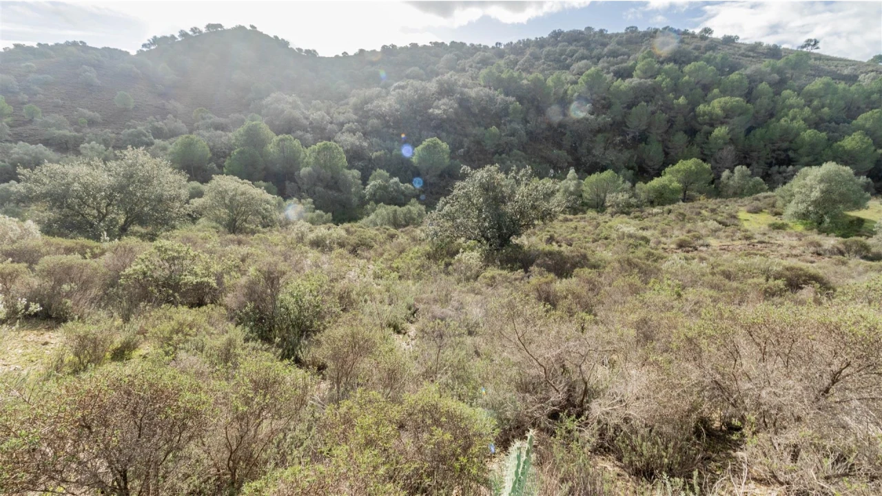 Terreno Agricola ou Rústico para Venda em Alcoutim e Pereiro Foto 8