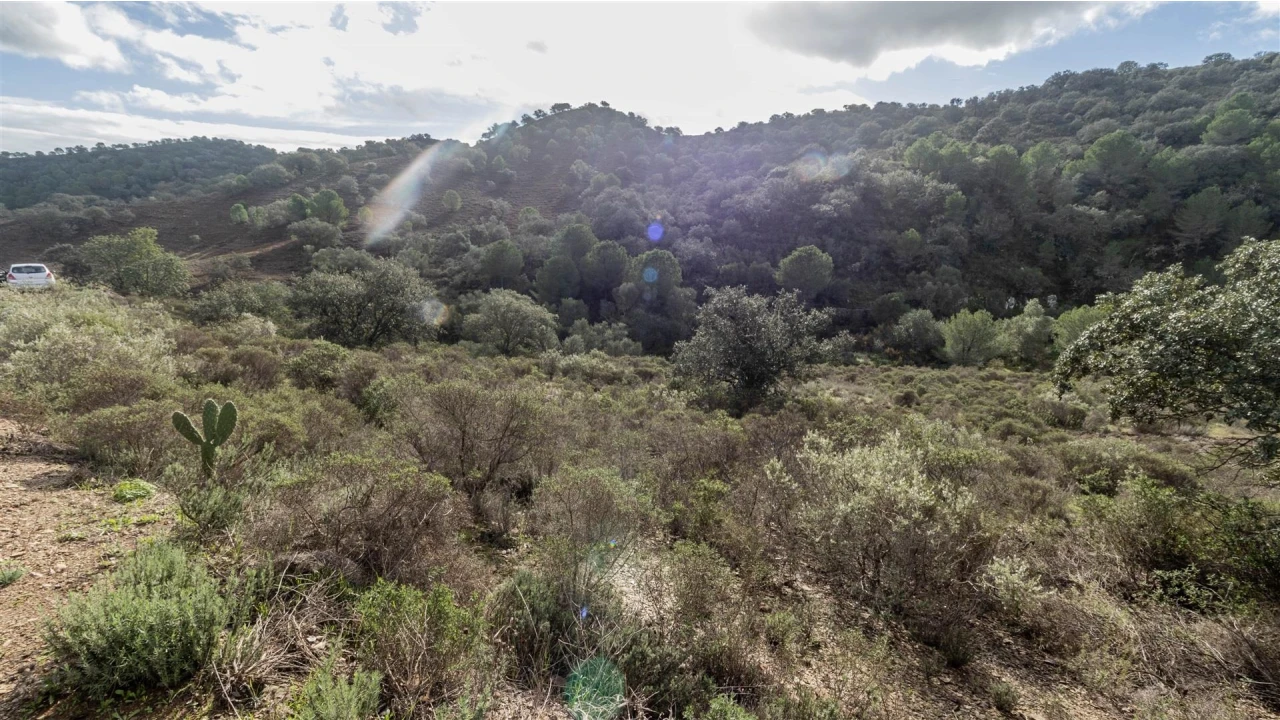 Terreno Agricola ou Rústico para Venda em Alcoutim e Pereiro Foto 9