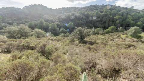Terreno Agricola ou Rústico para Venda em Alcoutim e Pereiro