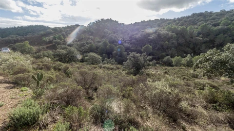 Terreno Agricola ou Rústico para Venda em Alcoutim e Pereiro