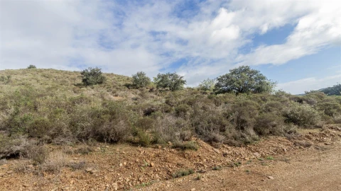 Terreno Agricola ou Rústico para Venda em Alcoutim e Pereiro